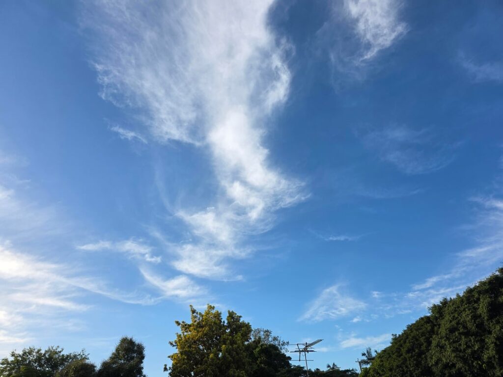 Cloud report: Lovely white line Cirrus to thick Cirrus spissatus clouds above drifting slowly from the W at 8Km. Some light grey flat Stratocumulus stratiformis clouds at 1.3Km. No rain from these but we can expect onshore flow to blow in thick Cumulus that might deliver a tiny bit of rain midday.