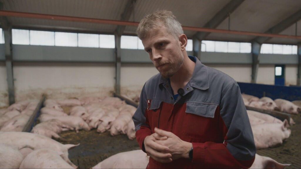 Pig chairman calls on all farmers to say no to pictures from their barns