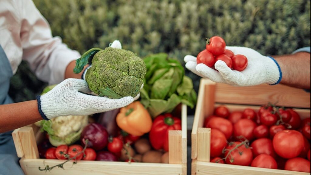 EU–Mexico Trade Deal Unlocks Agri-Food Export Opportunities