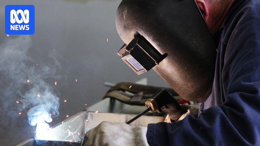 Australia wasting migrant talent on an "industrial scale", former Treasury secretary says