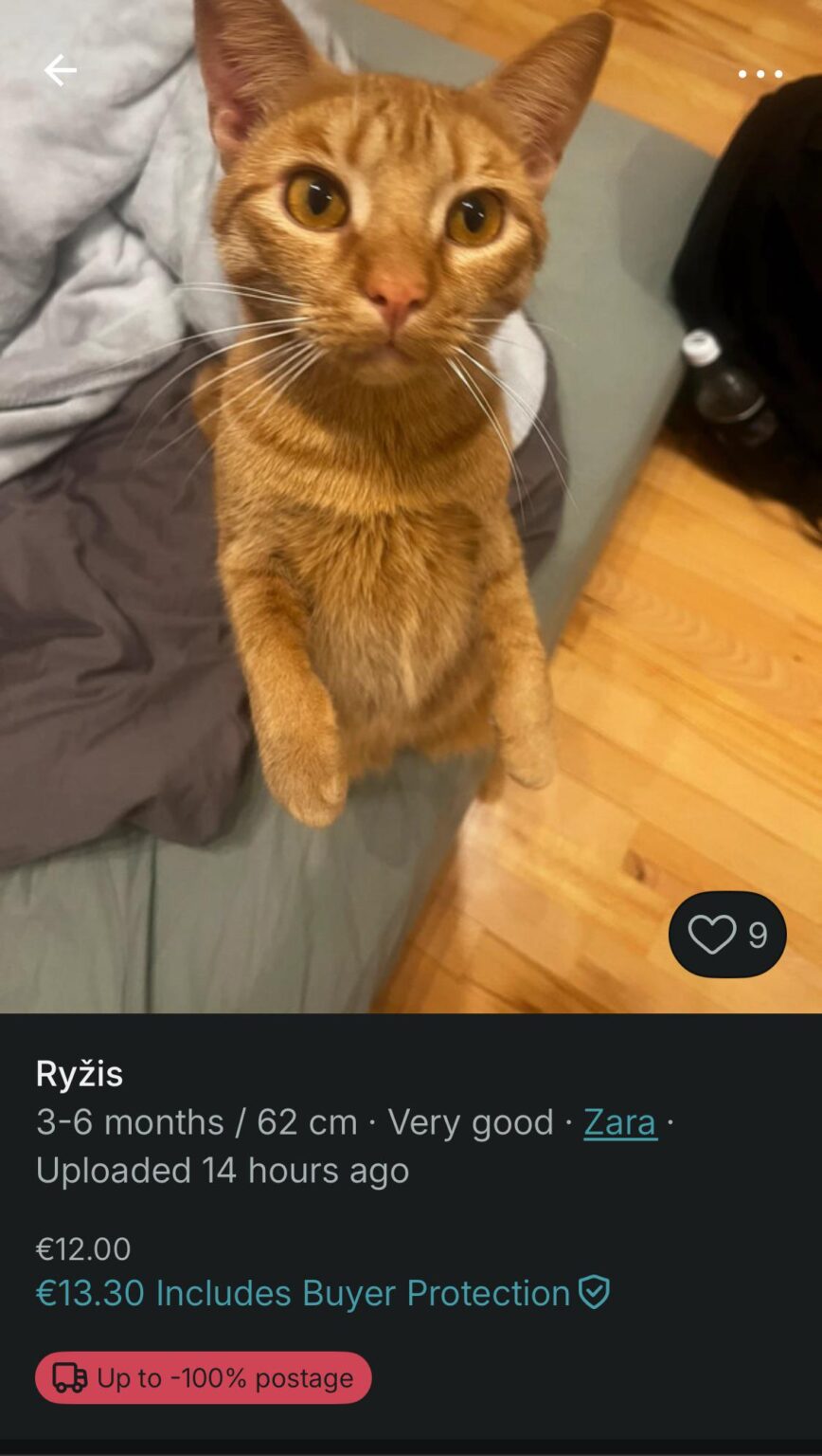 Maybe for a cat? The price is negotiable