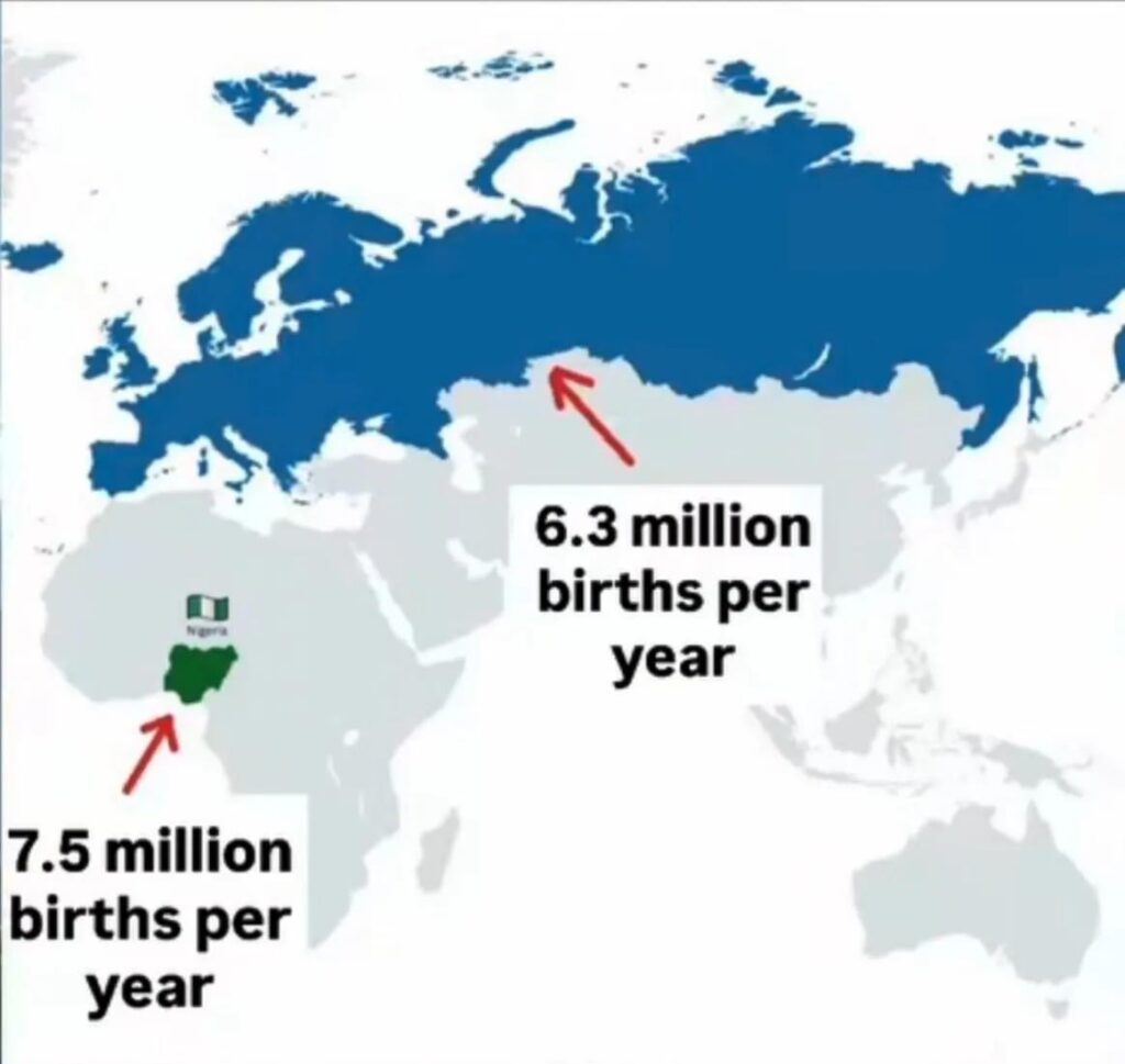 Comparison of births between Europeans and Nigerians.