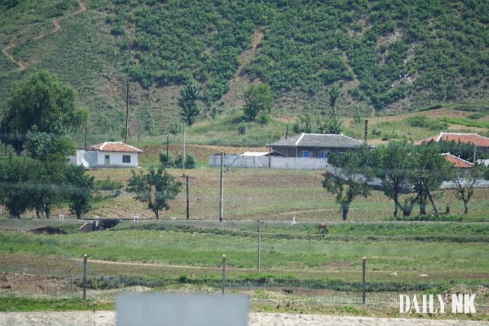 North Korea donju retreat amid post-congress crackdown Jeong Seo-yeong