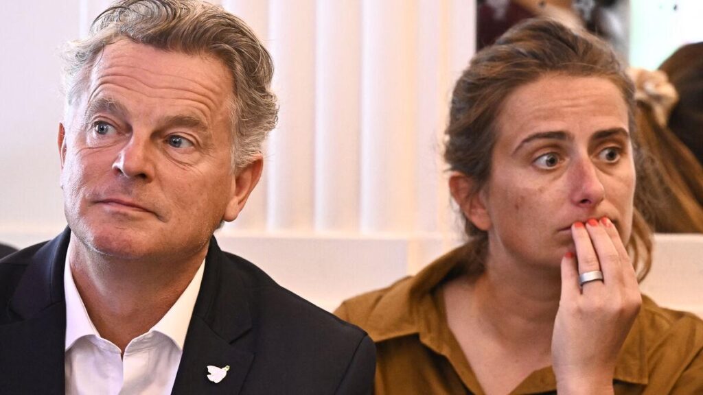 “What are we laughing at”: Marine Tondelier criticizes a joke by Fabien Roussel about her pregnancy