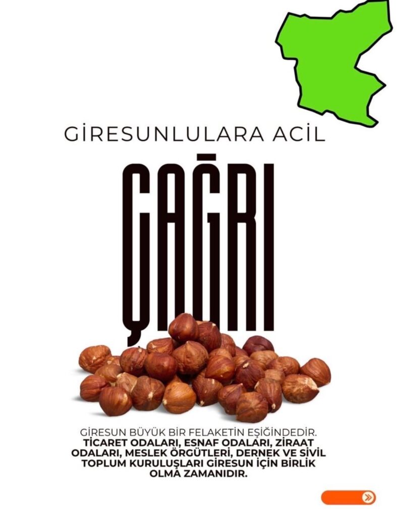 85% of Giresun has been declared a mining area! Hazelnuts and drinking water are in danger.
