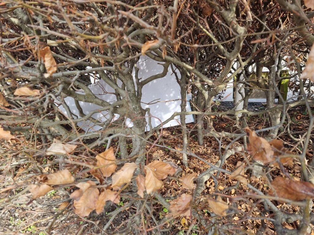 I think the various party organizations can take an extra round out on the roads where election posters have been hung....