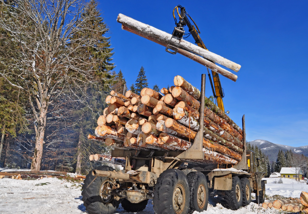 Finland standing sales prices for timber rise up to 3% in March Finland standing sales prices for timber rise up to 3% in March