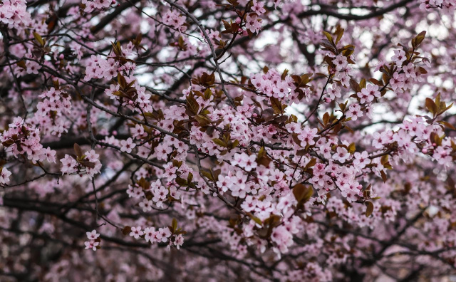 Bulgaria: Weather in Bulgaria: Mixed Spring Conditions Expected on Wednesday Across the Country