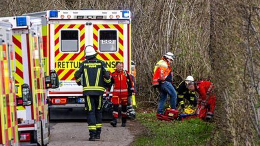 Tree falls over: several dead near Flensburg