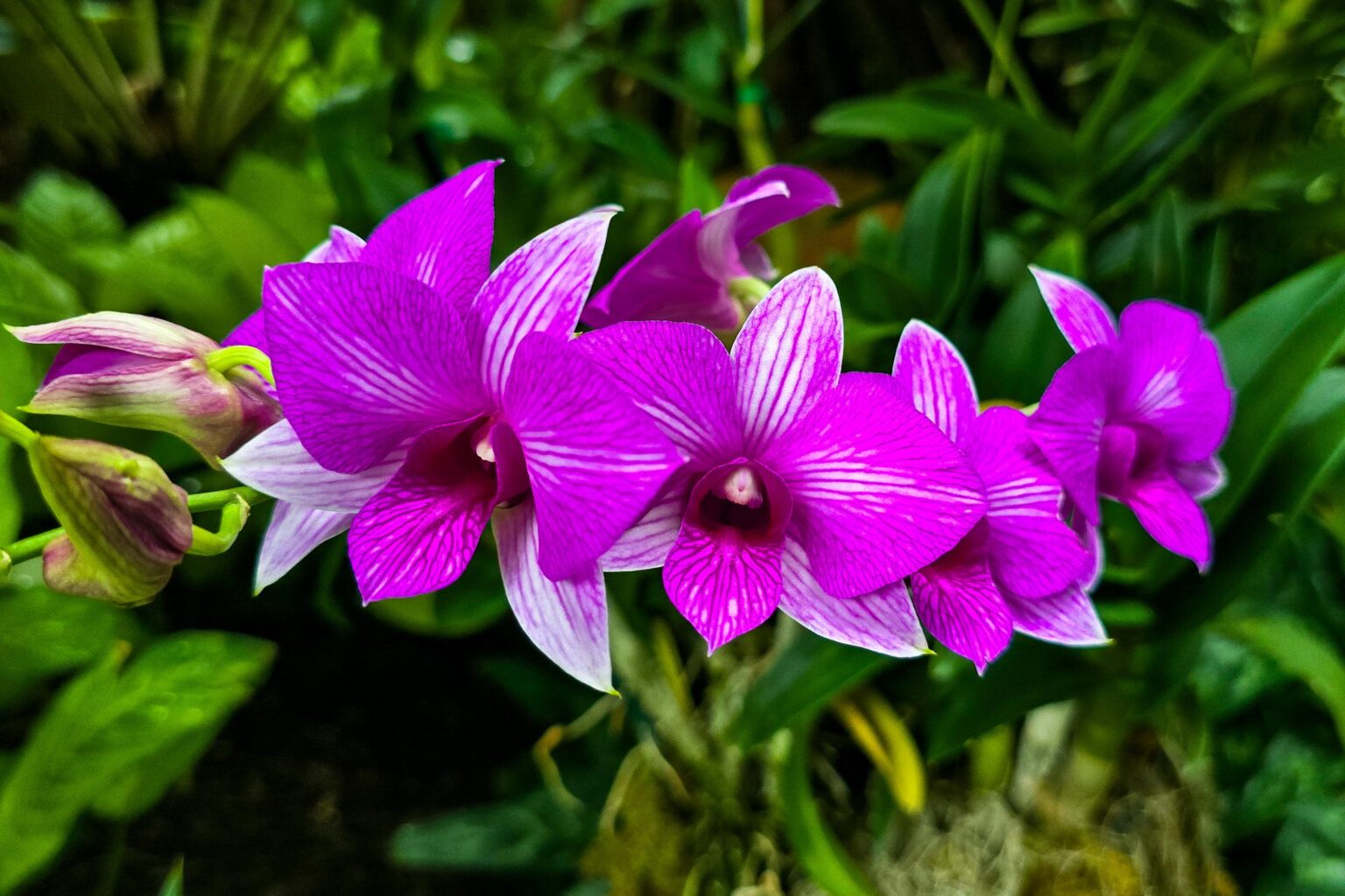 The colors blew me away