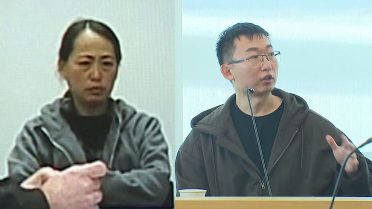 Defendants Xin Li and son Boyuan Zhang.