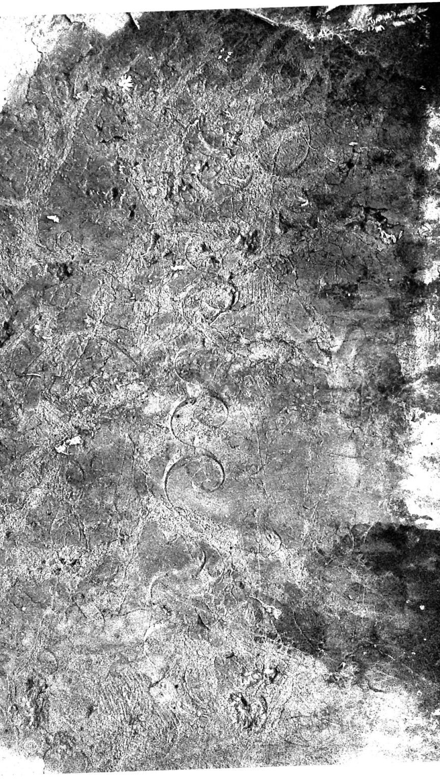 Help reading a gravestone inscription..