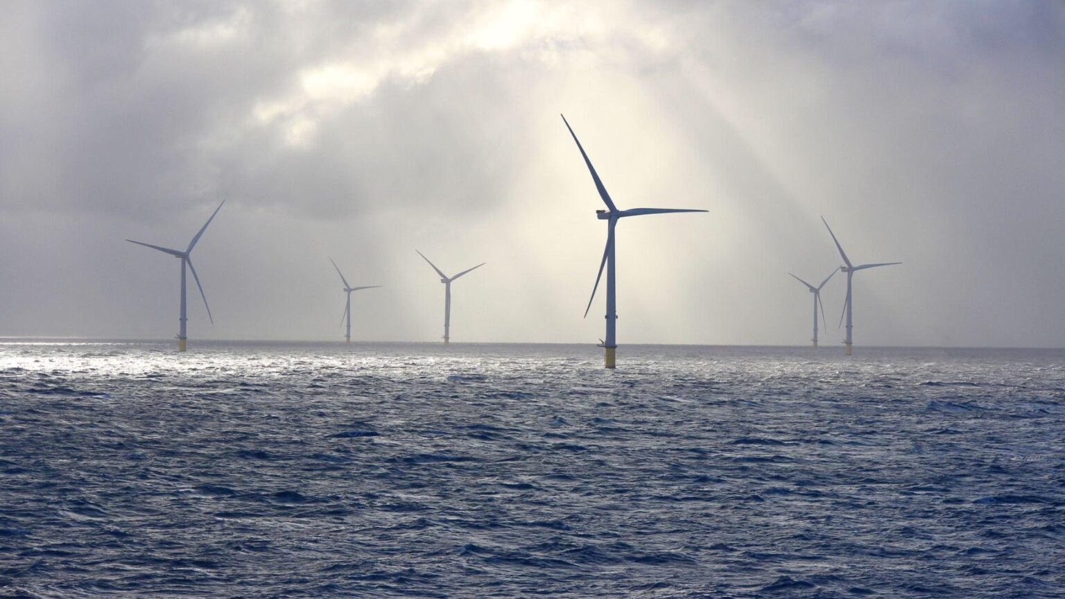 World’s largest: Japan plans 1 GW floating offshore wind farm to help power Tokyo