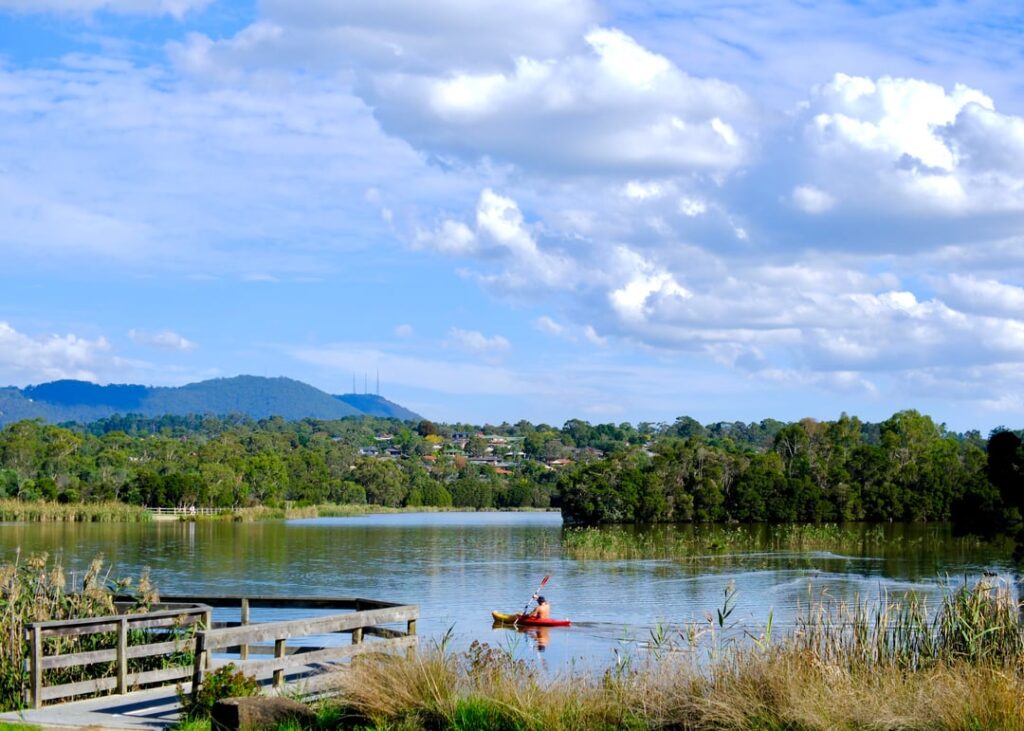 lilydale lake few weeks ago
