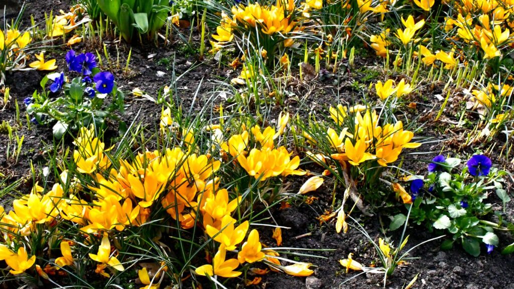 Easter events guide in Rīga / Article Easter events guide in Rīga / Article