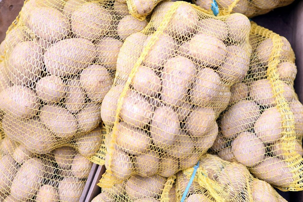 Farmers say spuds will not be as cheap in future in Latvia / Article Kartupeļi. Ilustratīvs attēls