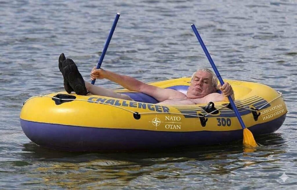 Czech support of the USA within NATO