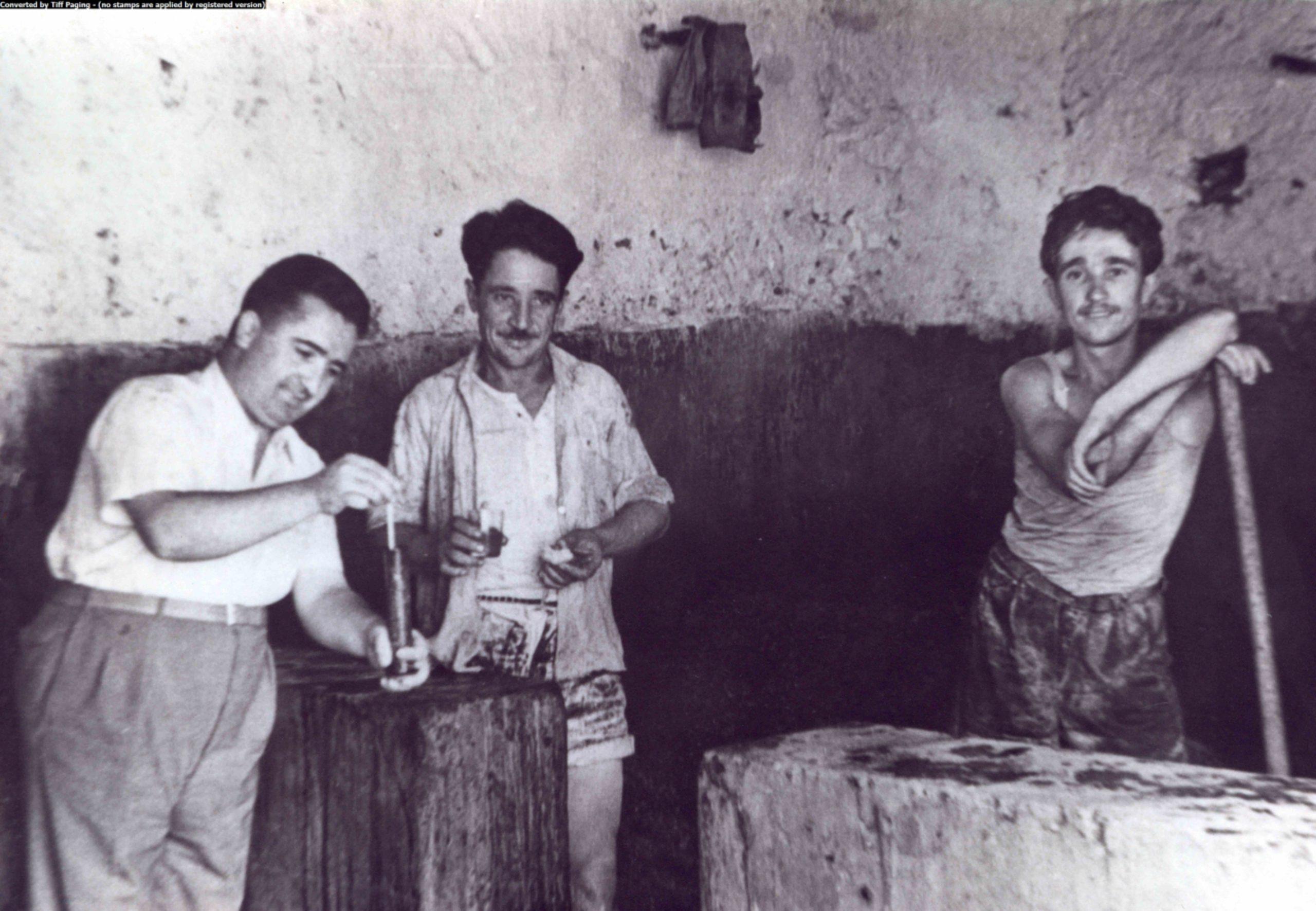 Retsina
