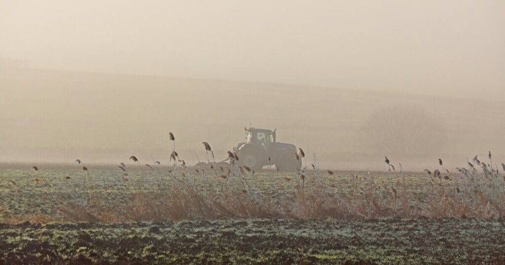 Love around the table: food security and climate justice