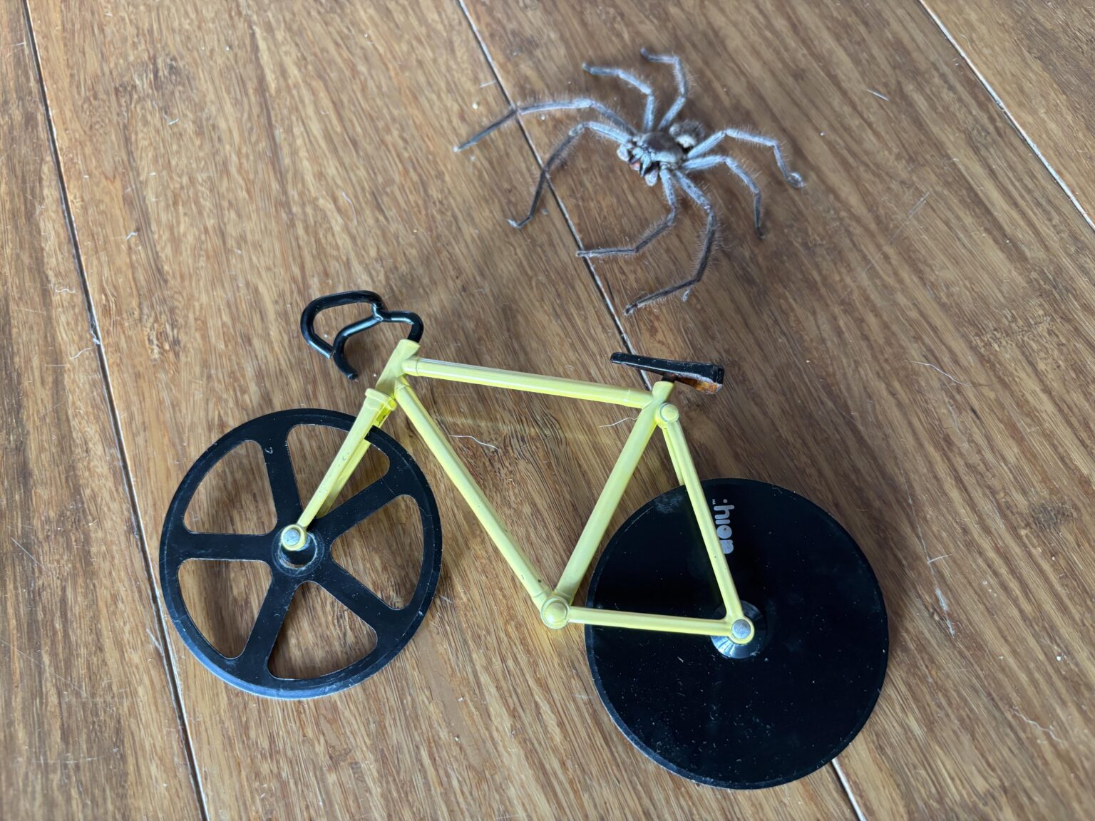 Huntsman stole my bicycle