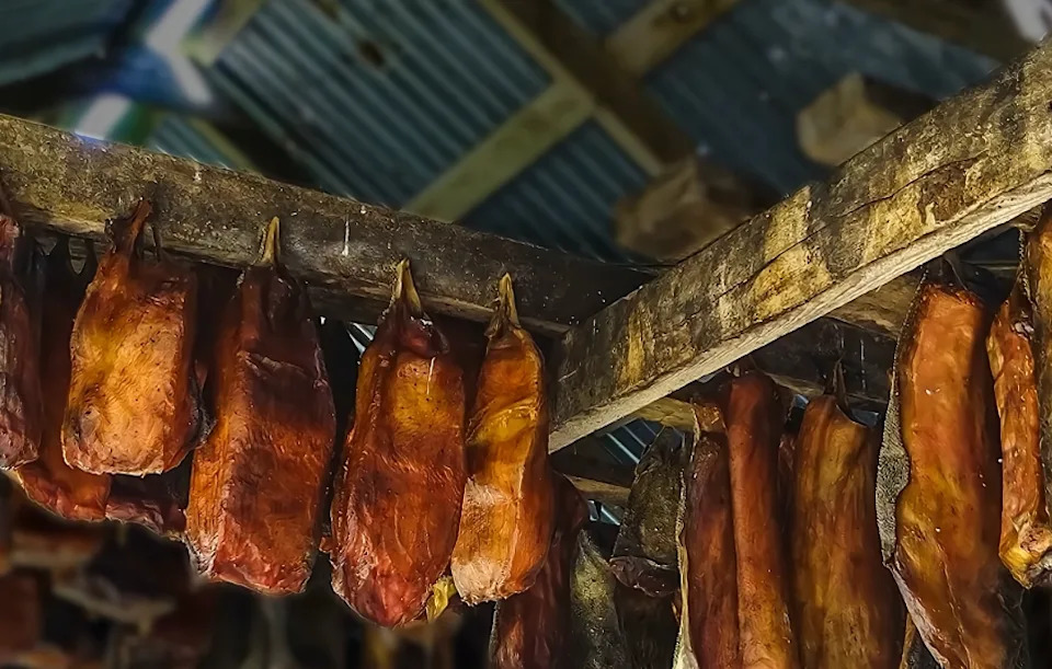 Shark hanging from a ceiling to ferment.