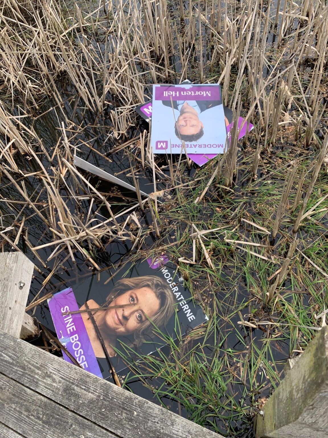 Election posters thrown into the lake