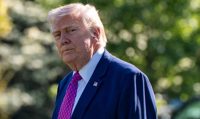 Donald Trump's NATO comments 'not wise', says Dutch armed forces chief