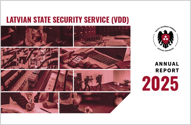 VDD report 2025