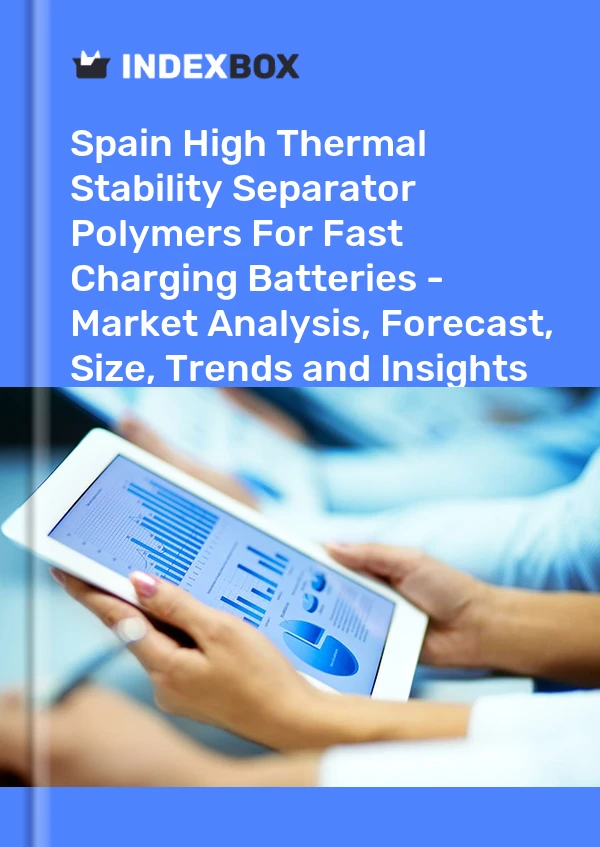 High Thermal Stability Separator Polymers for Fast Charging Batteries Market in Spain | Report - IndexBox