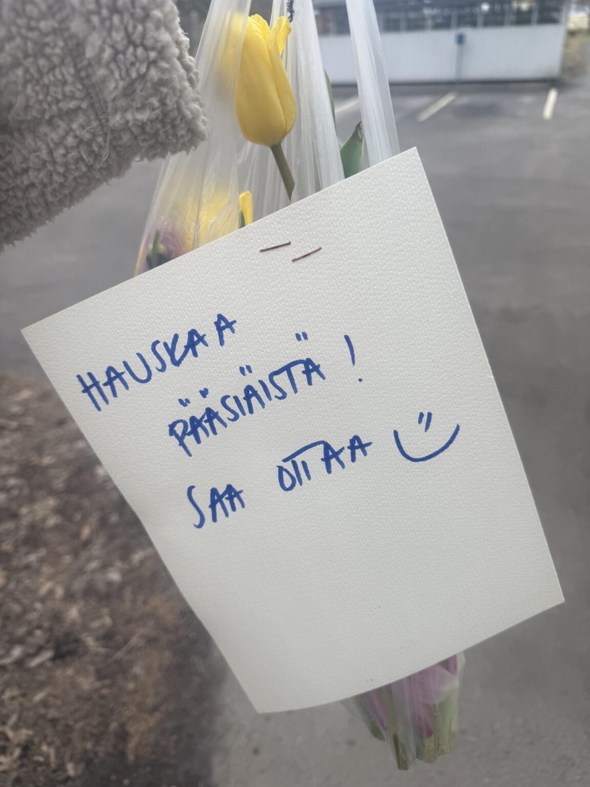 Sweet gesture from neighbour 🥹
