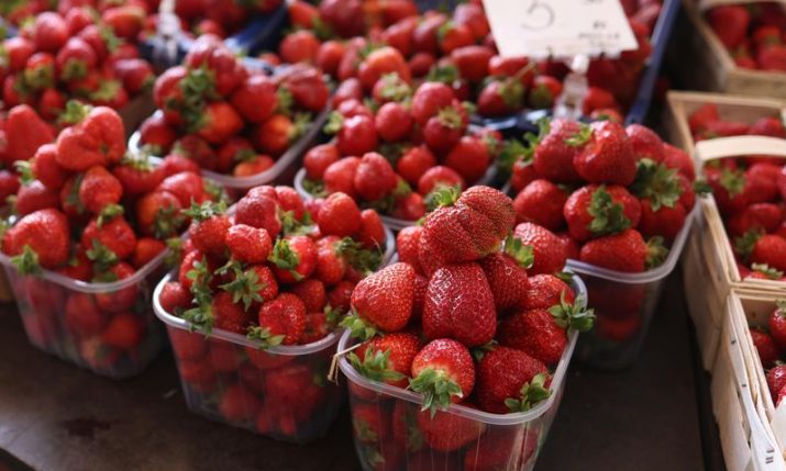 Croatian strawberries could become a luxury as prices climb