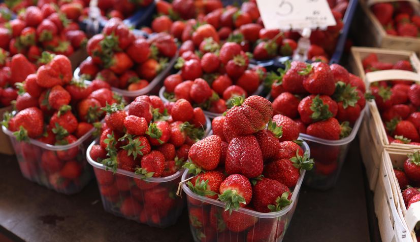 strawberries in croatia