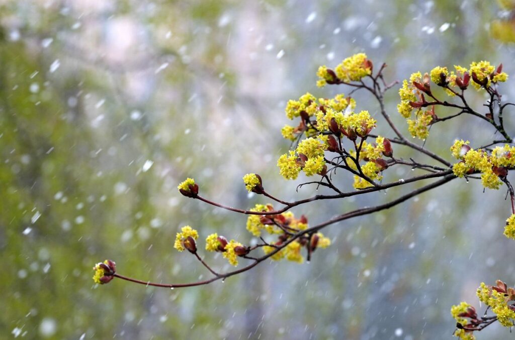 Sunday will bring big storm in Latvia / Article Sunday will bring big storm in Latvia / Article