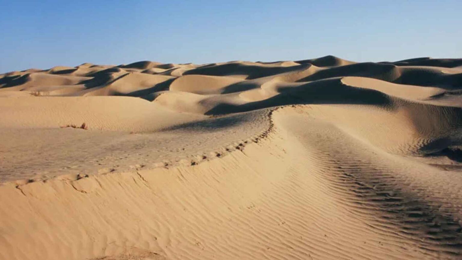 Green vegetation belt along the edge of the Taklamakan Desert showing reforestation efforts in arid northwest China