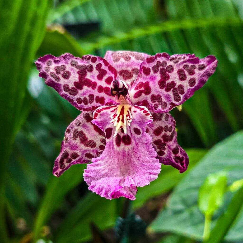 The patterns blew me away!