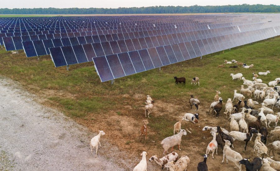 GM Matches 100% of U.S. Electricity Use With Renewable Energy GM Matches 100% of U.S. Electricity Use With Renewable Energy