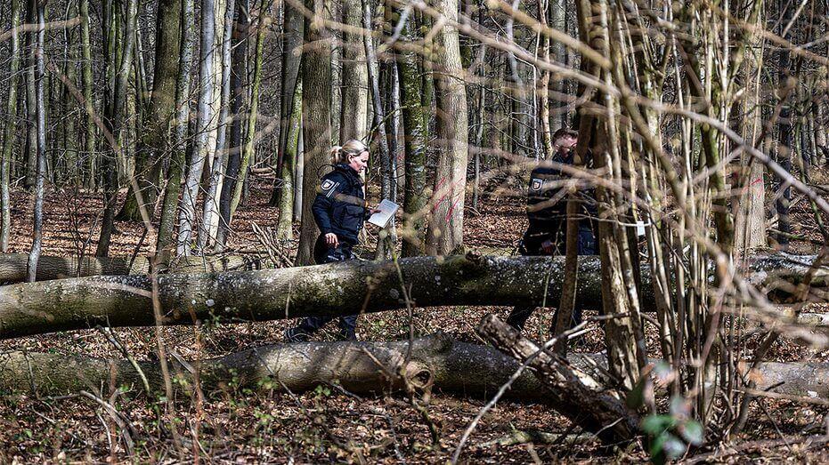 Three dead, including baby, after tree falls during Easter egg hunt in Germany Three dead, including baby, after tree falls during Easter egg hunt in Germany