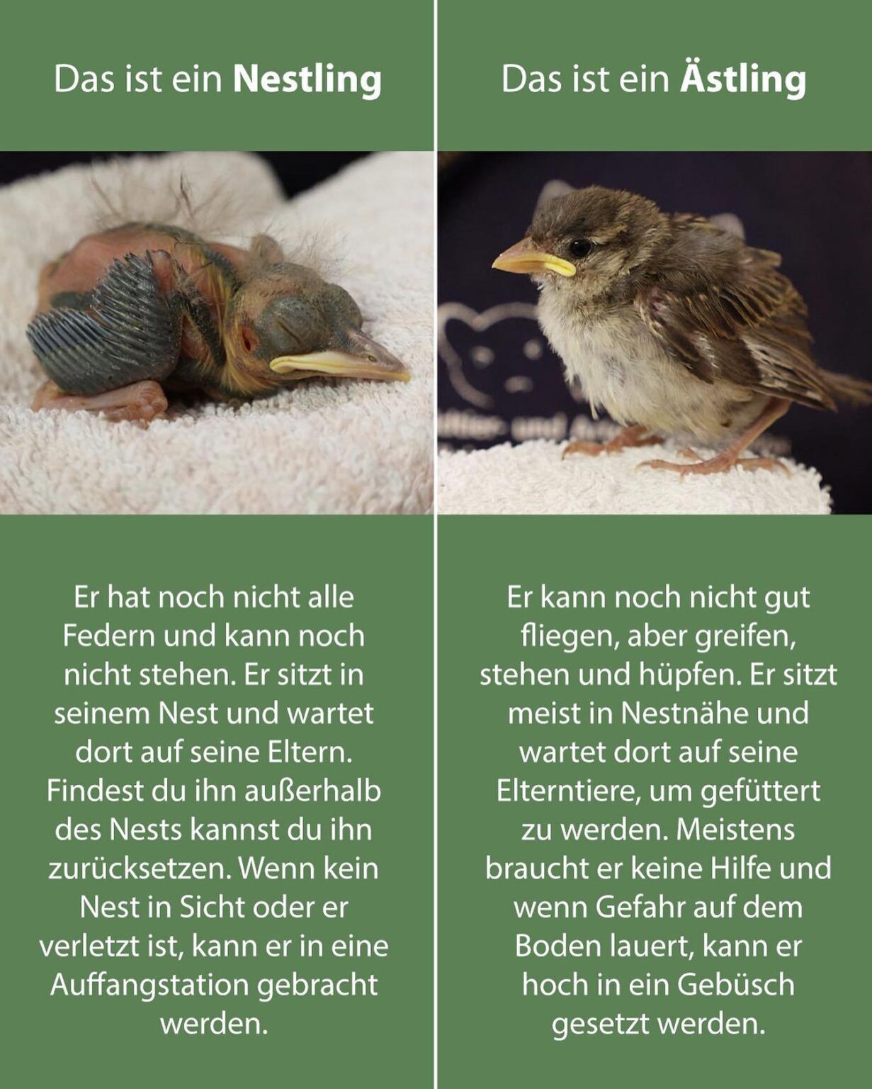 PSA - Every year again: please don't kidnap any branches!