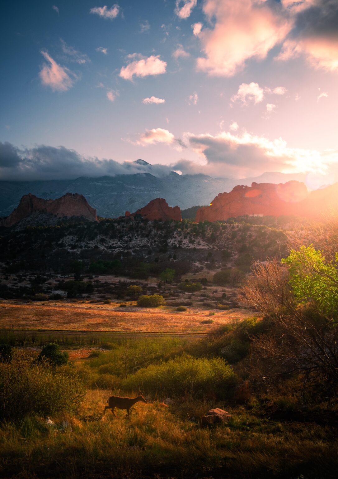 Sunset at Garden of the gods in Colorado.