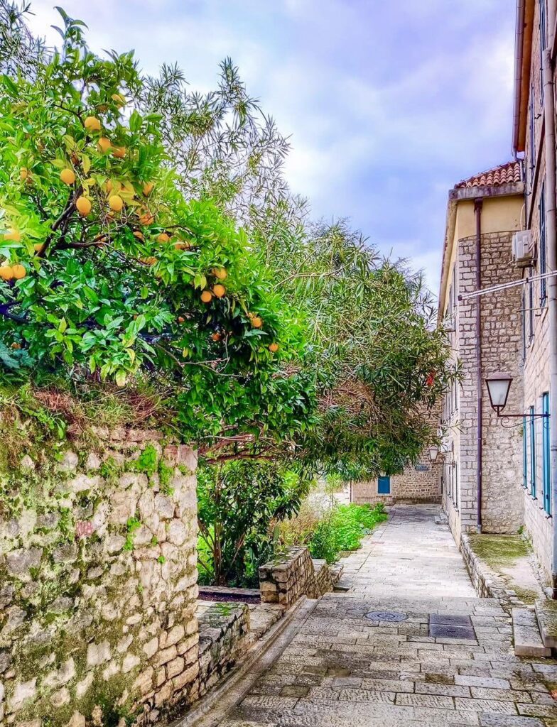 Herceg Novi 🙌🏽