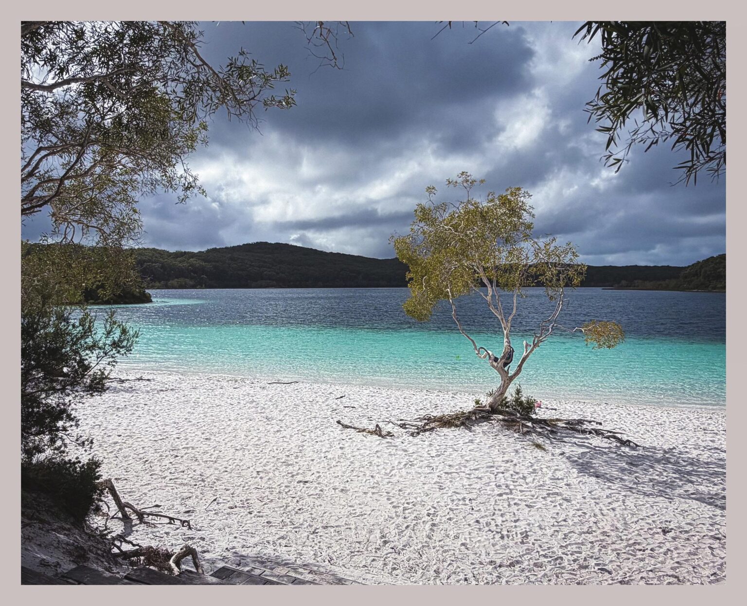 Good to get away from all the BS. K’gari - Lake McKenzie.