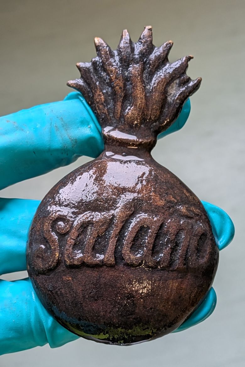 A uniform badge found at the scene of the wreckage.