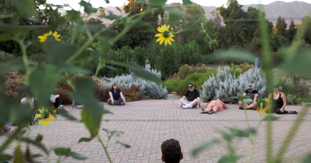 People 'bathe' in nature to get respite from chaotic news cycle