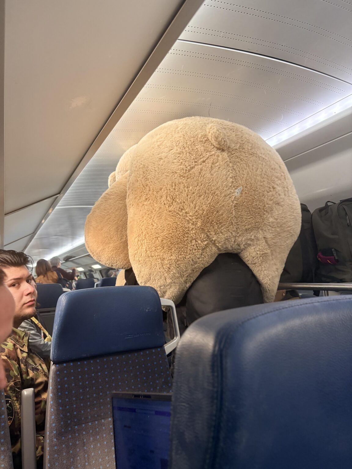 Extra large guest on SBB