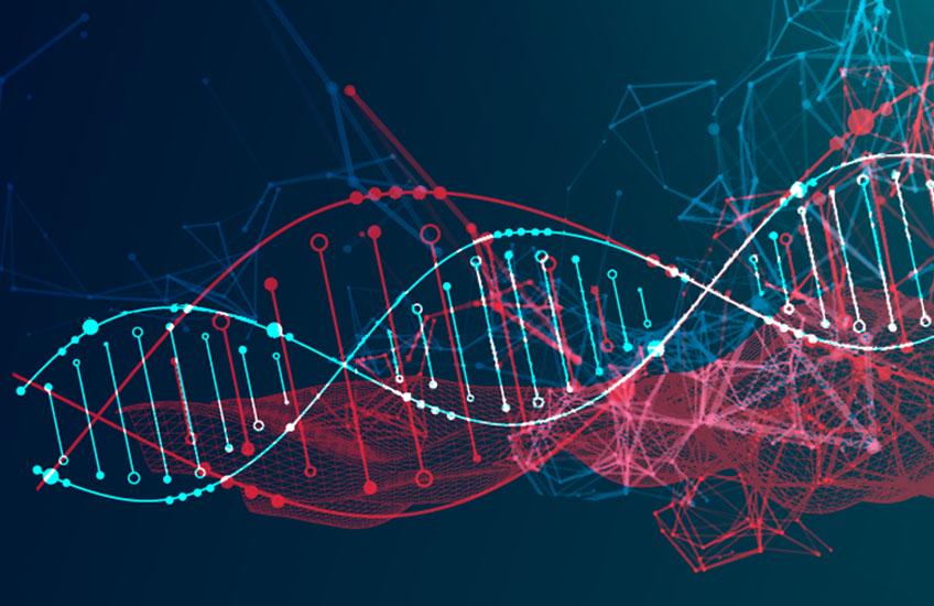 Massive Ancient-DNA Study Reveals Natural Selection Has Accelerated in Recent Human Evolution. Many of the identified gene variants have known links to complex physical, psychological, and social traits, including risk for type 2 diabetes and schizophrenia