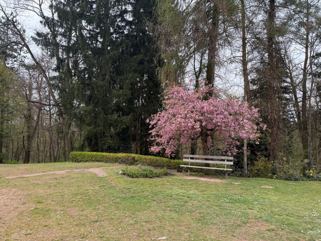 Spring in Saarland
