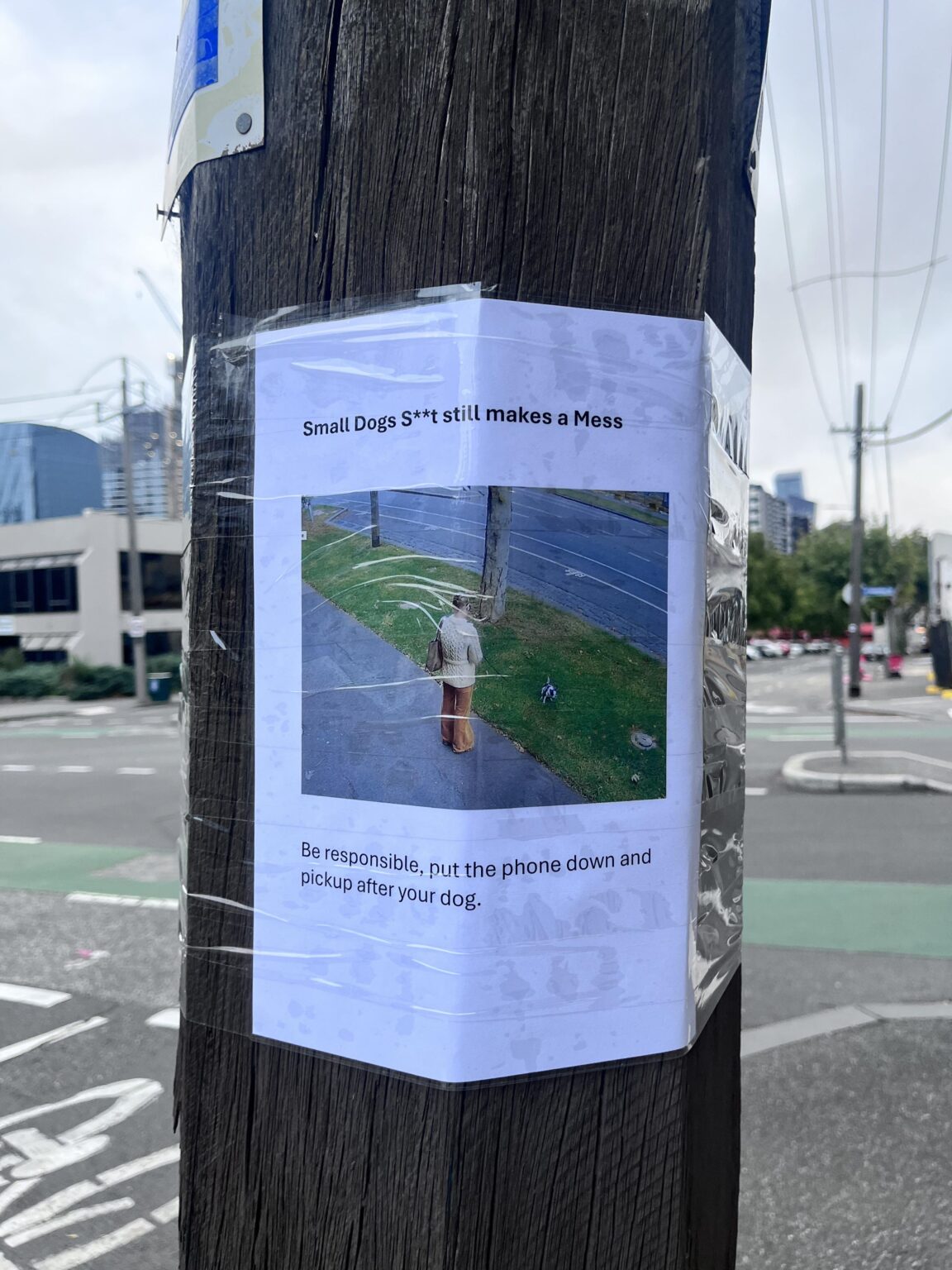 PSA: small dogs still 💩