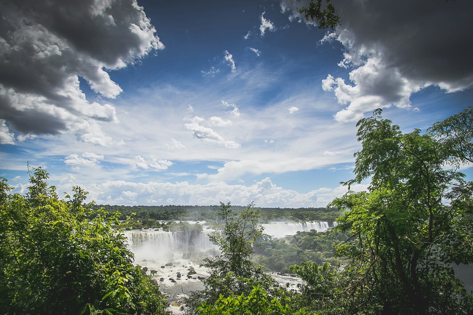 Waterfall in a Rainforest