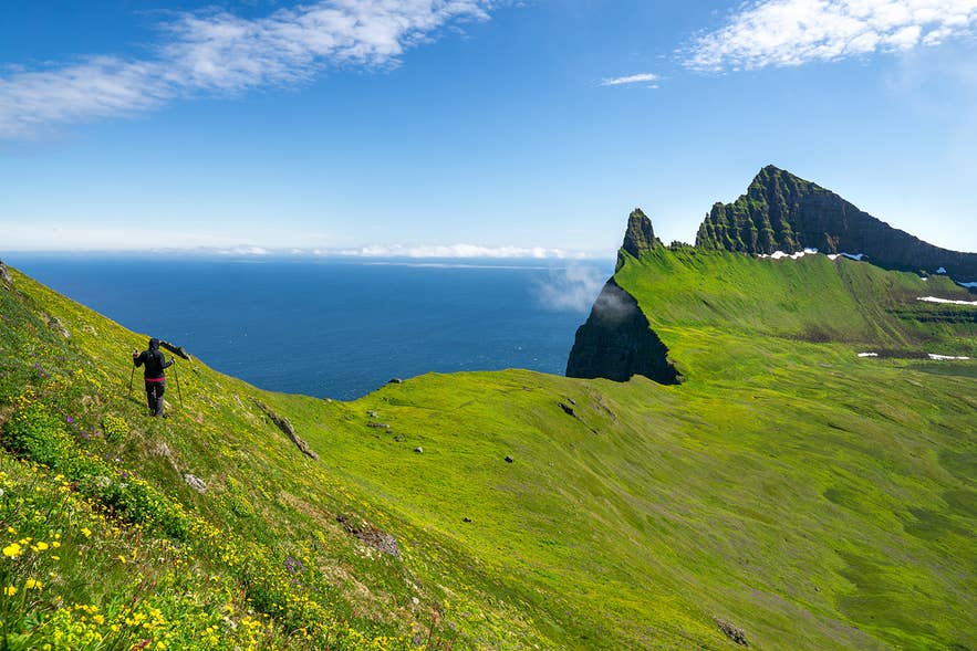 Hiker on the green slopes of Hornstrandir in the Westfjords, the region where Flóki named Iceland