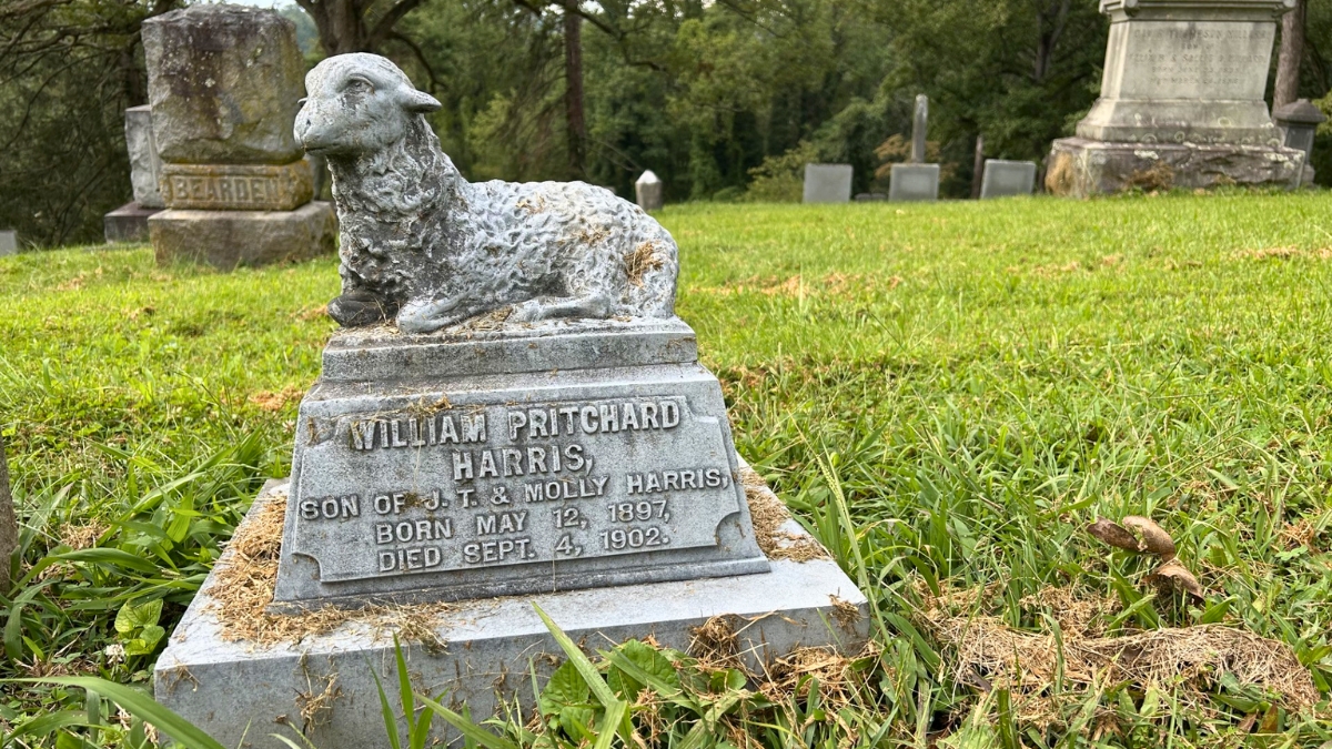 Tombstone Tales: After a dog attack in 1902, Willie Harris’ family raced to save him